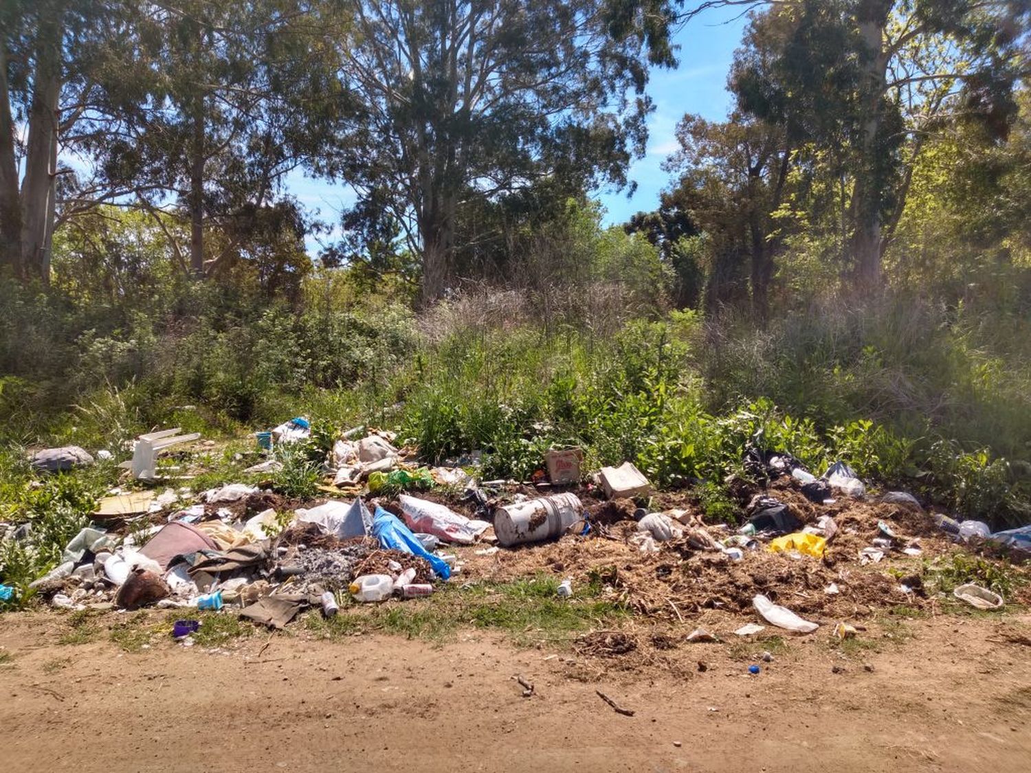 Avanza ordenanza para endurecer multas y obligar a reparar daño a quienes arrojen basura