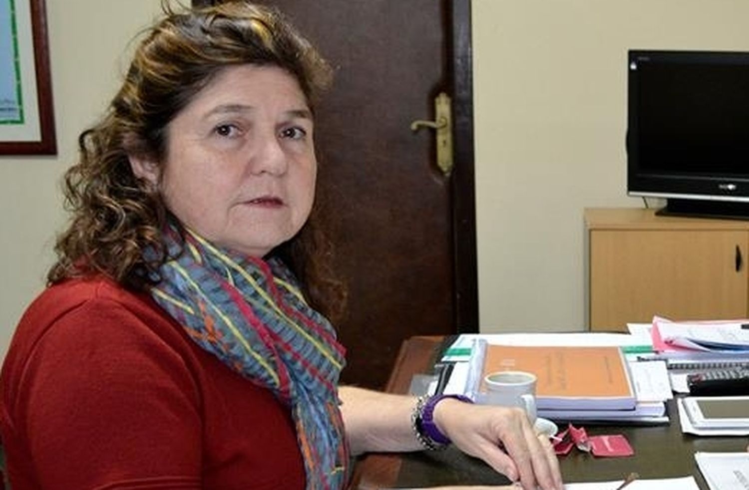 Carlos Tejedor: Interpelan a Intendenta Gianini