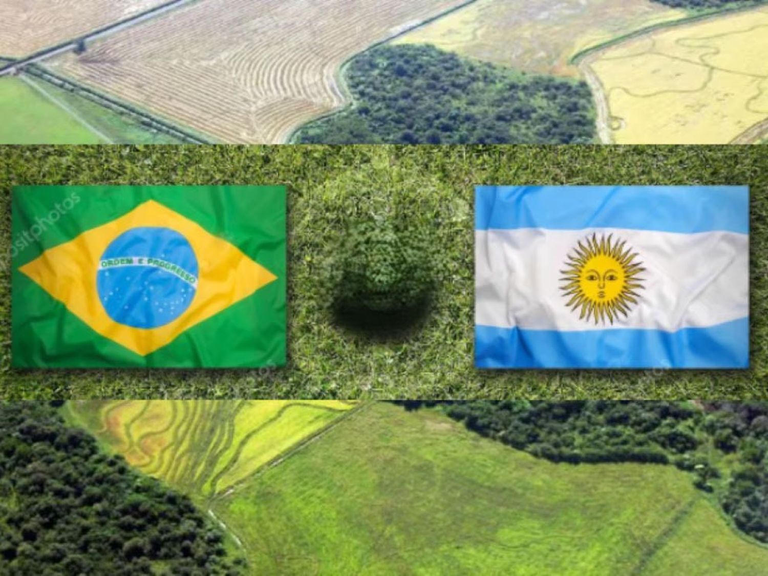 Brasil y Argentina: Un intercambio estratégico que fortalece la economía regional