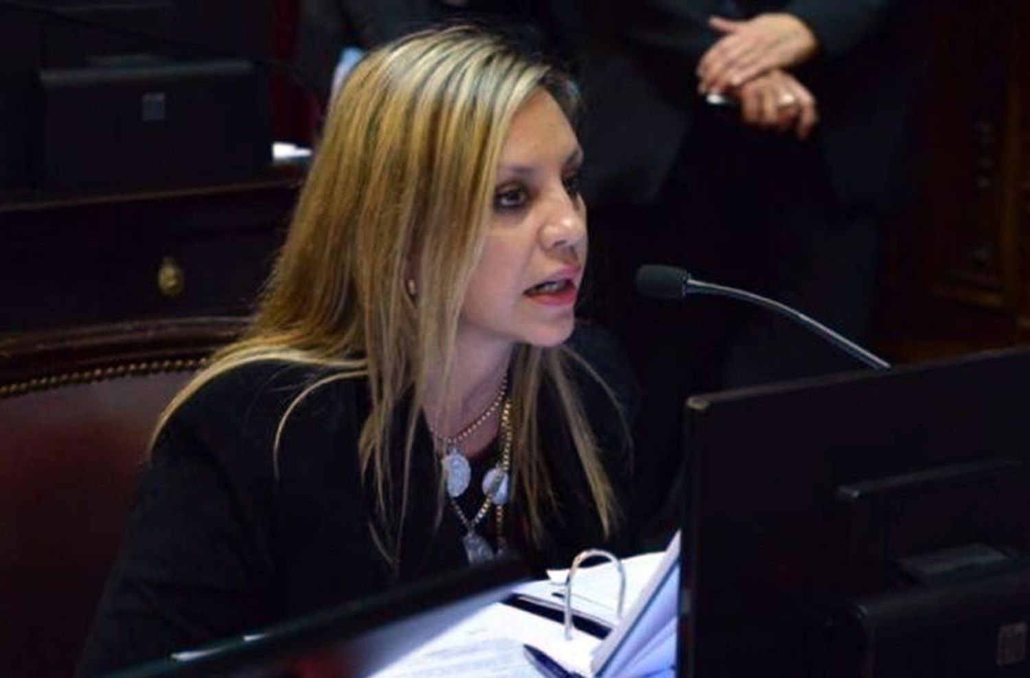 Sacnun: “Voy a acompañar este proyecto porque es un progreso para los derechos de las mujeres”