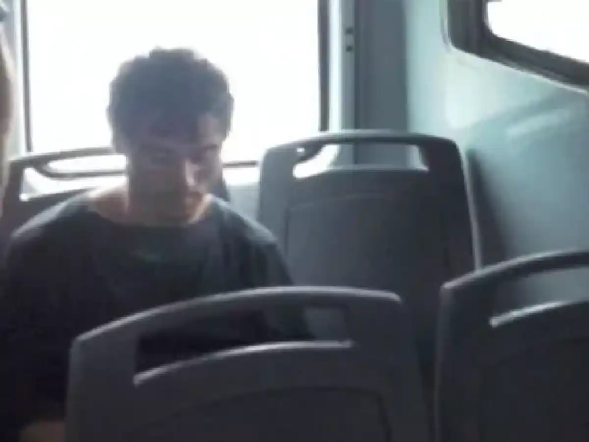 El mellizo del asesino de Micaela pidió prisión perpetua para su hermano