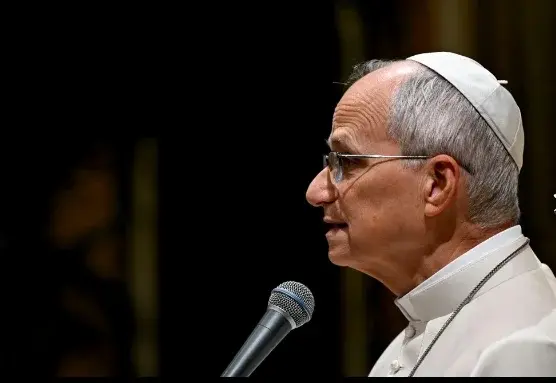 El Papa León XIV. 

https://www.vaticannews.va/