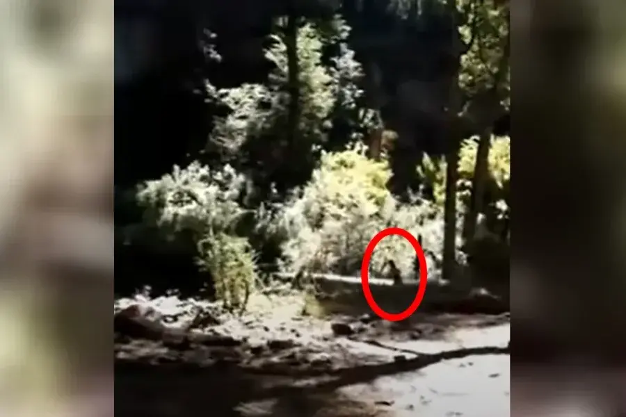 VIDEO | ¿Un duende camino al Cerro Tronador?: el estremecedor momento que se viralizó en Bariloche