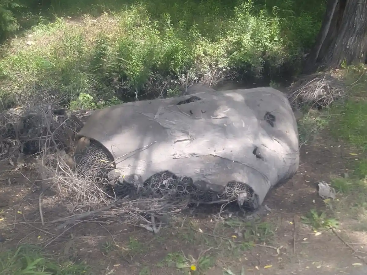 Calle América: dejaron toda la basura tirada