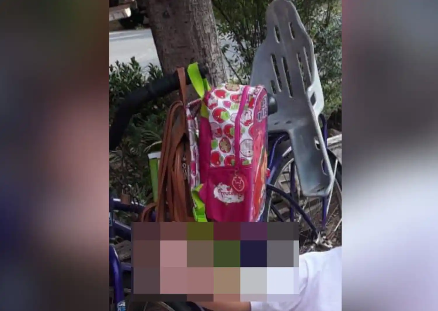 Cortaron el candado de las rejas de un garaje para robar una bicicleta