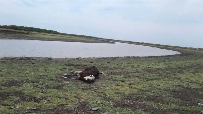 En la provincia, la sequía no da tregua y la producción vive una situación límite