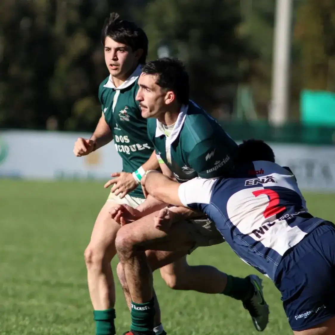 Los Cardos no pudo sorprender a Sporting.