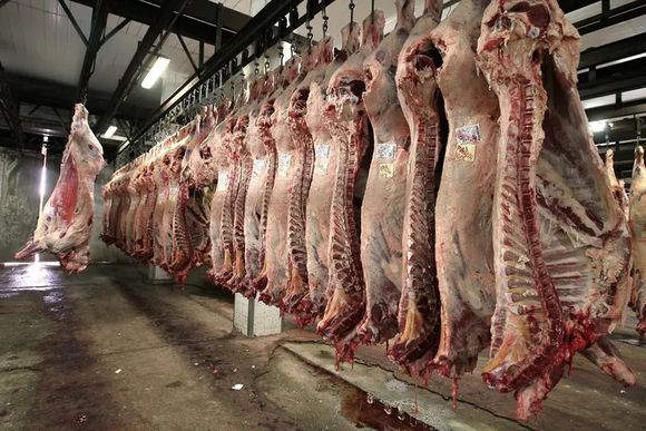 Papelón con el troceo: ahora el Gobierno decidió que no derogará la resolución