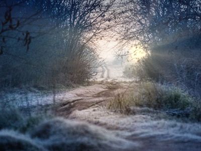 Ola polar en Entre Ríos: se esperan temperaturas bajo cero y emiten un alerta naranja por frío extremo