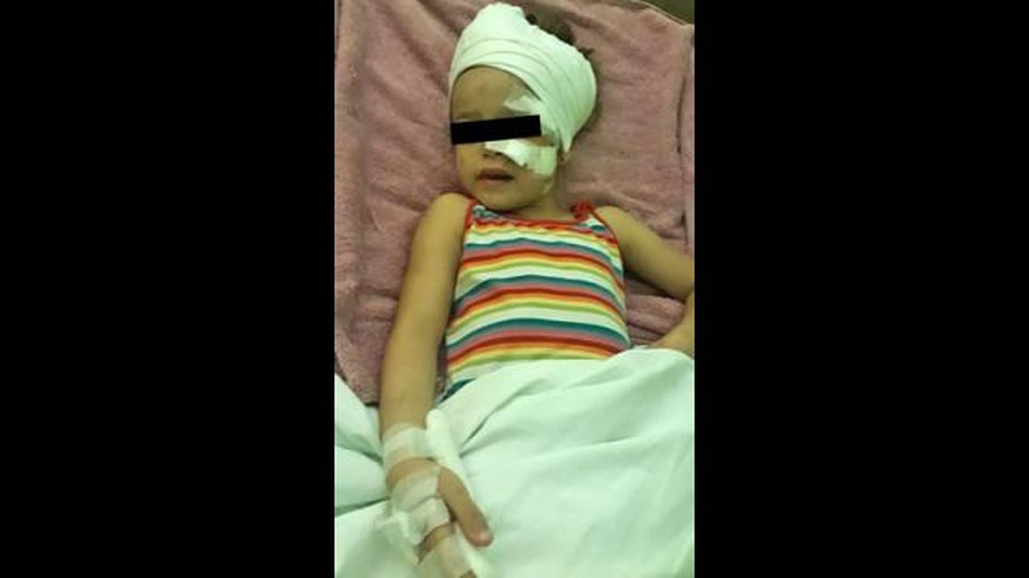 Niña fue atacada por el perro de un vecino y su familia pide que lo sacrifiquen