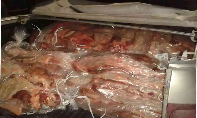 Hallan 160 kilos de costillares escondidos en un colectivo de pasajeros