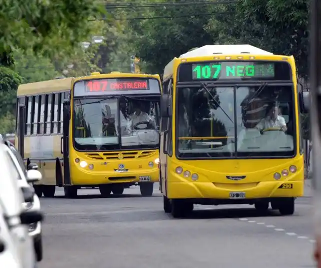 Trasplantados pueden tramitar las franquicias para colectivos