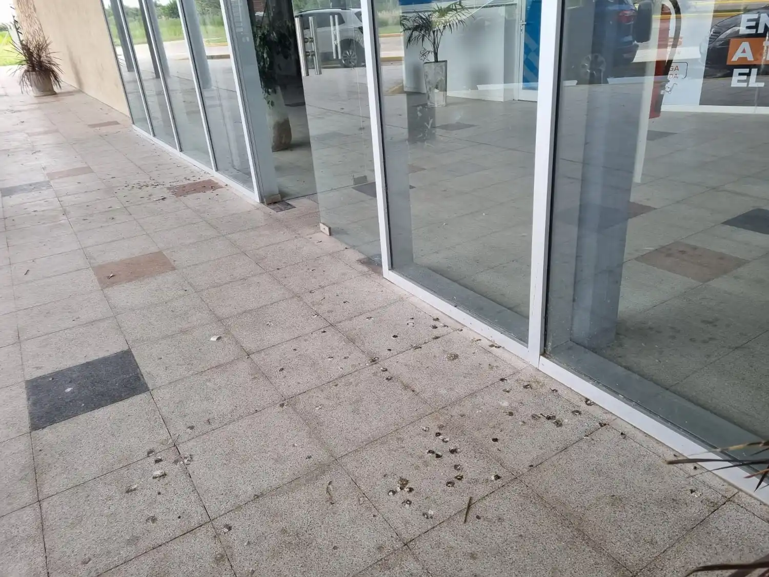 Las redes explotaron de comentarios por parte de los sampedrinos.