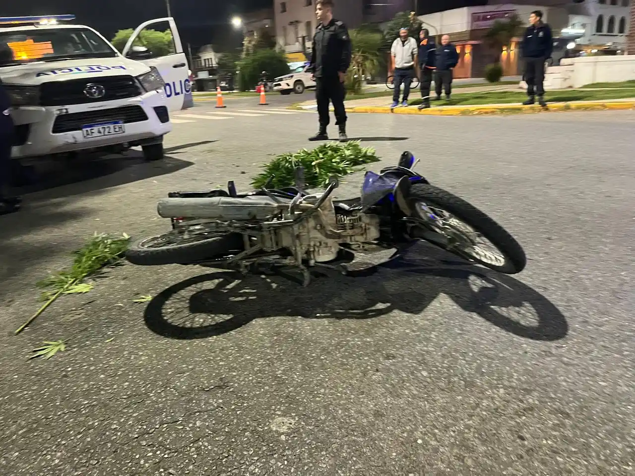 La moto, junto a la planta de marihuana