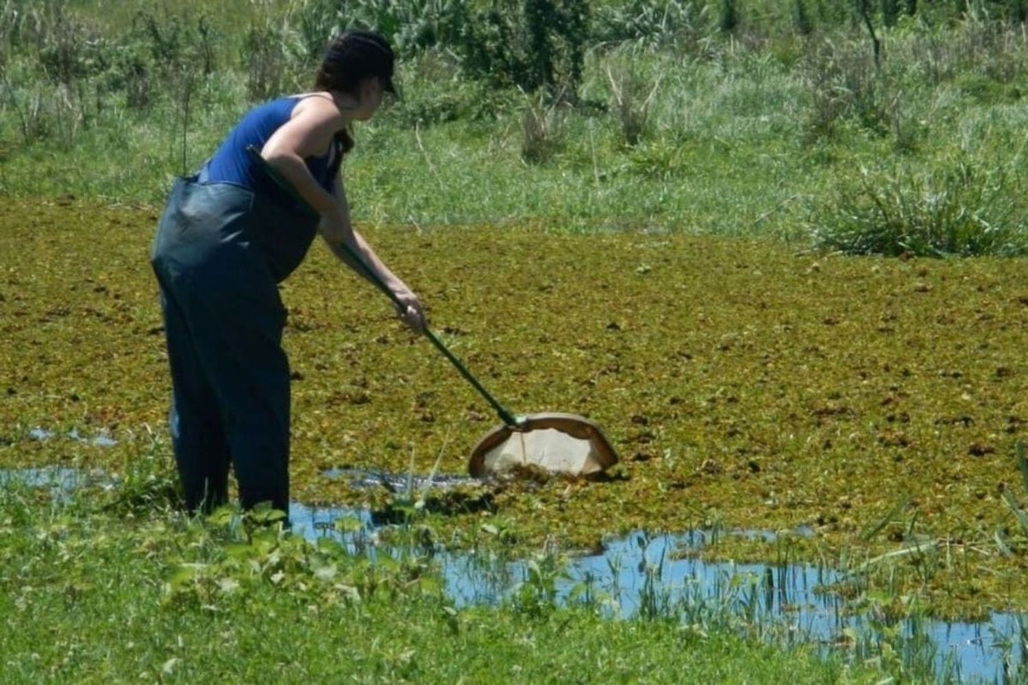 Las claves de la ganadería verde para obtener mejores rendimientos