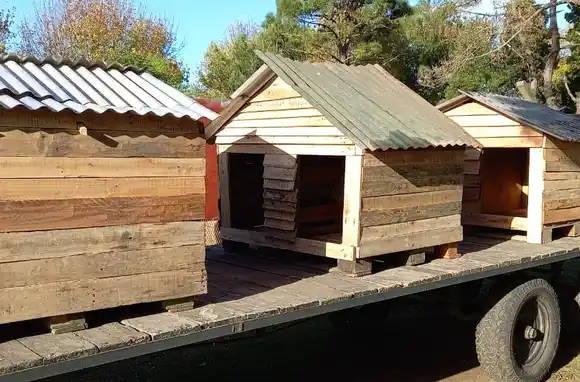 Donaron "cuchas" al refugio municipal de General Madariaga