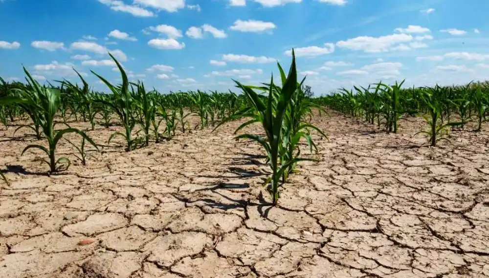 "Encaramos una emergencia climática"