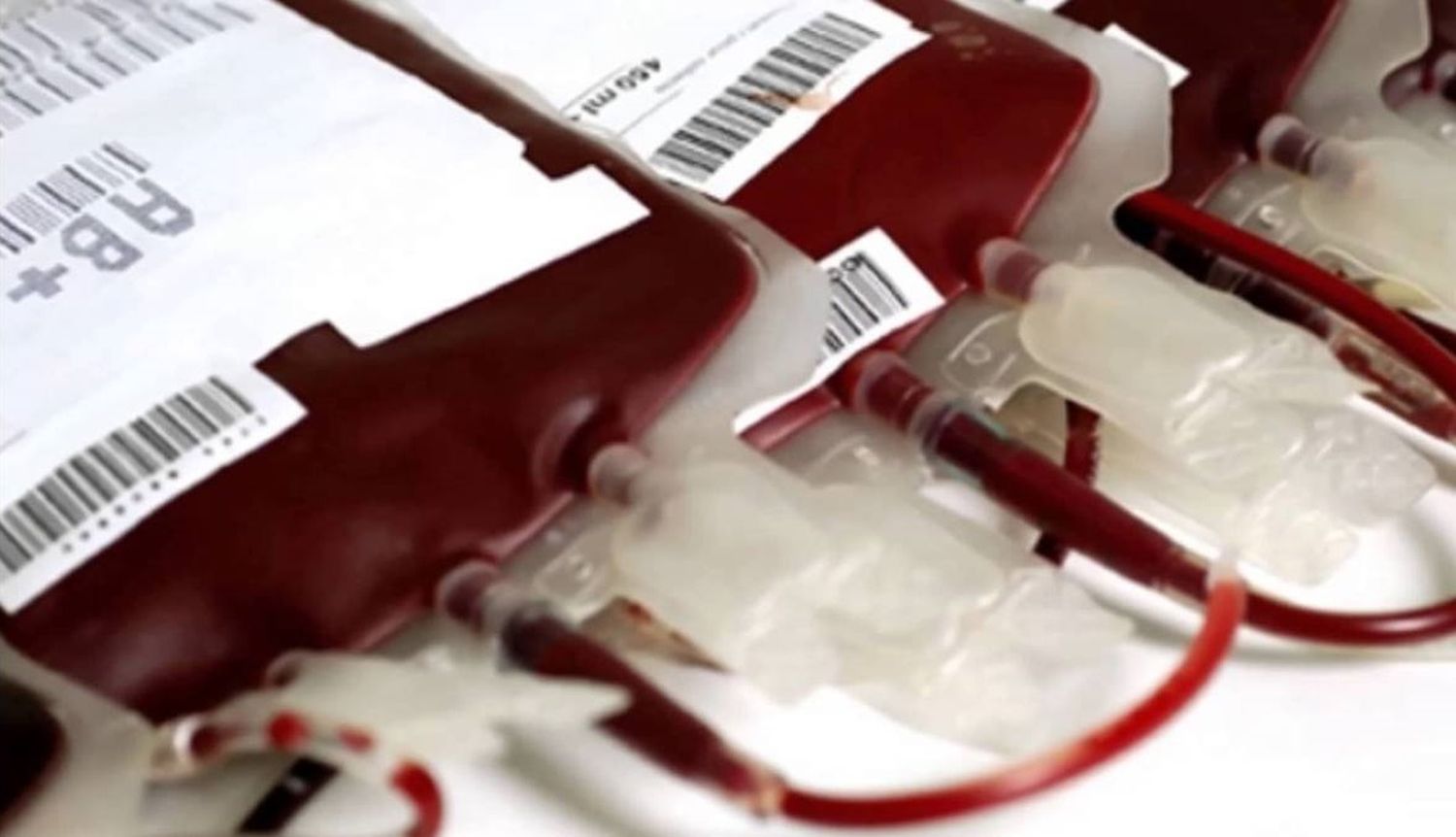 Donar sangre: el Caso de Ulises, el niño de 8 años que espera un trasplante de médula ósea