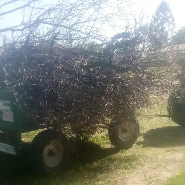 Mantenimiento y limpieza en Estación Lazo
