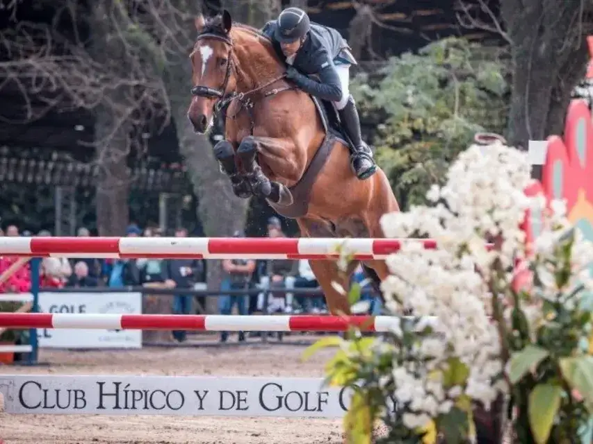 Desde el 13 hasta el 26 de septiembre, el Jockey Club rosaribo se convertirá en uno de los centros ecuestres más importantes de la región.