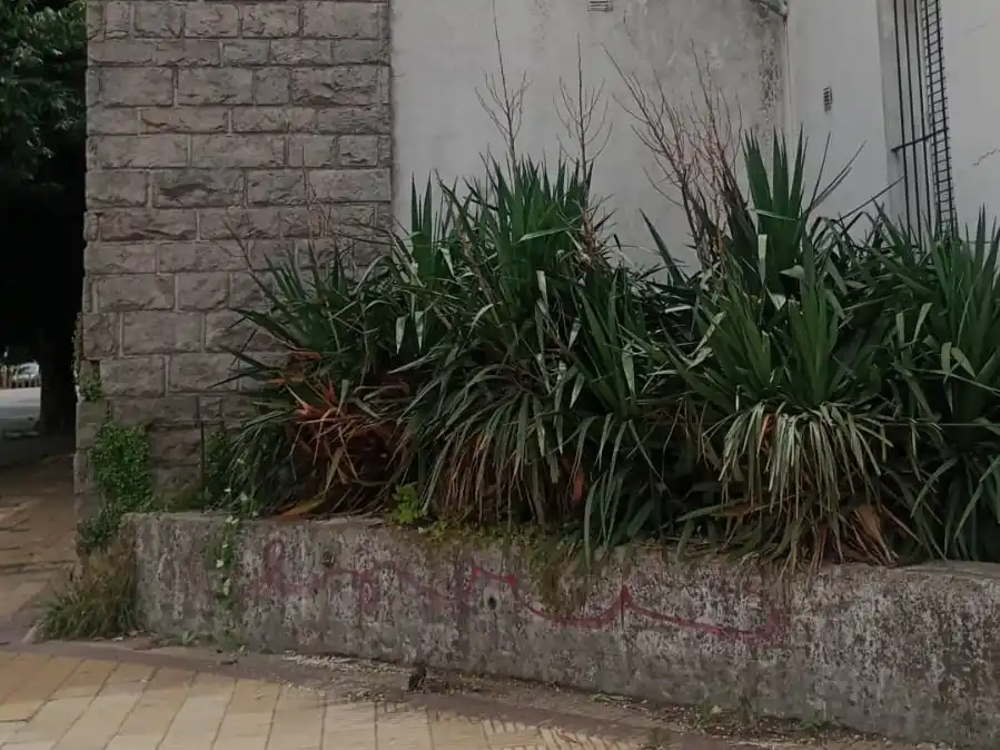 Escuela Primaria 7 20-1-26 - 2