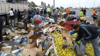 Rosario: volcó un camión con limones y los vecinos aprovecharon