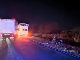 Trágico accidente en ruta 11: una mujer murió tras caer de una moto y ser embestida por un camión