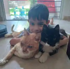 Día del Animal: ¿por qué se celebra el 29 de abril?