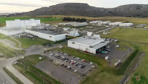 Desde Balcarce y Mar del Plata buscan frenar el avance chino de las papas fritas congeladas en las góndolas de la región