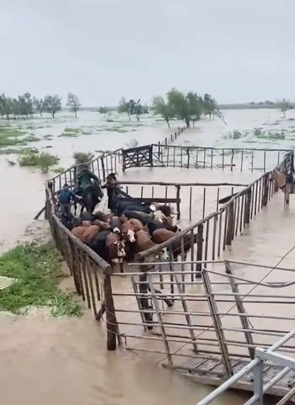 Farer solicita a los productores que tengan previsto mecanismos de evacuación de la hacienda