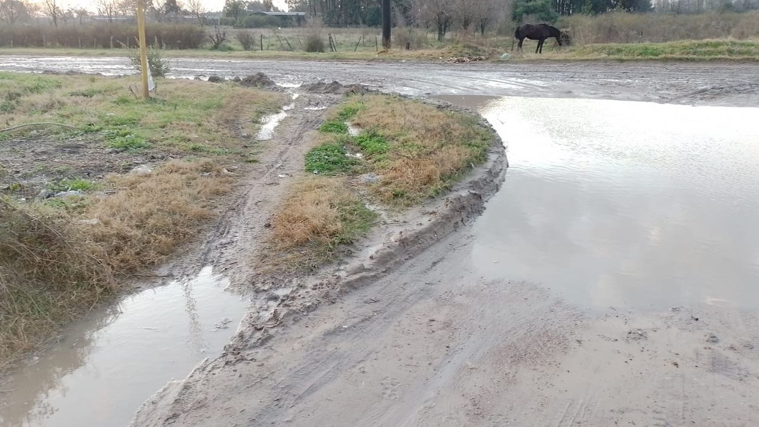 Tres relatos, una misma problemática y años de no ser escuchados por la Municipalidad