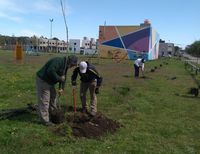 Continúan las tareas de forestación y mejoramiento de espacios verdes en la ciudad