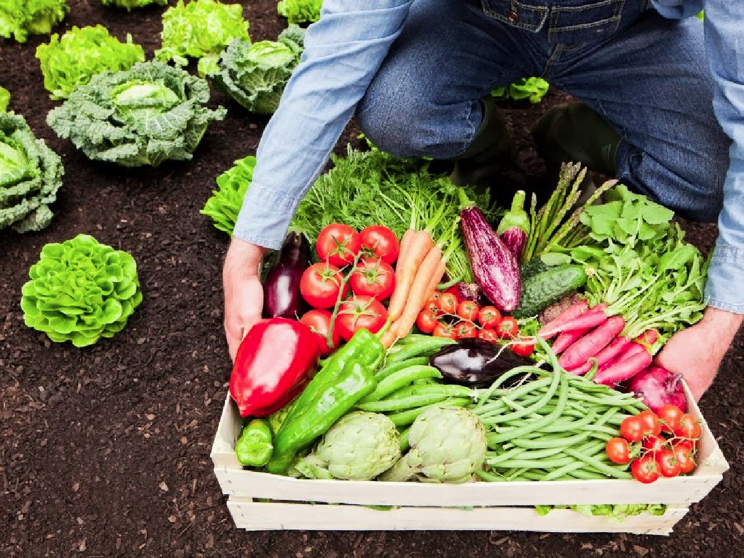 Agro: por una planificación sustentable