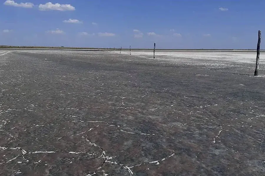 VIDEO | Córdoba: una laguna se quedó sin agua y perdió su flora y su fauna