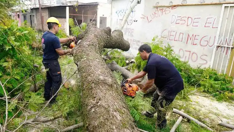 Las multas por infracciones a ordenanzas 
van de 100 a 1.000 litros de combustible