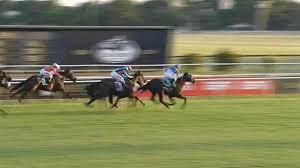 Sixties Song ganó en el Gran Premio Latinoamericano de turf