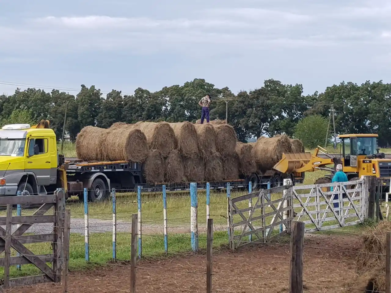 Incendios en Corrientes: Sociedad Rural donó rollos de pastura
