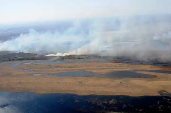 Incendios en las islas: el intendente de Victoria dijo que «no hay productor agropecuario que queme su campo»