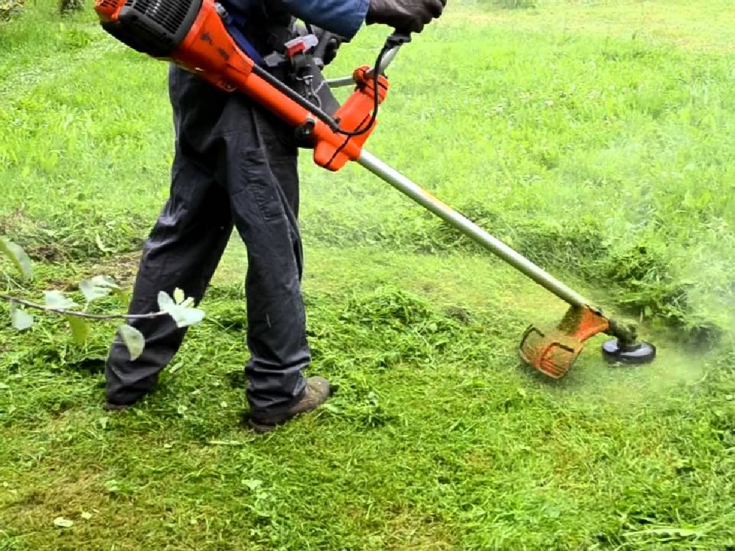 Se ofreció a cortar el pasto, cobró, nunca volvió pero le dejó un bolso
