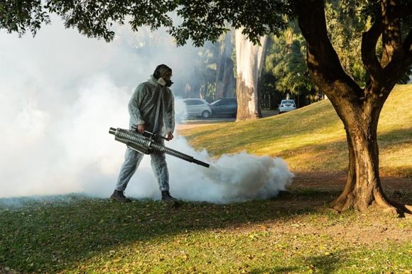 Mosquitos: fumigan 66 parques, plazas y espacios verdes de Rosario