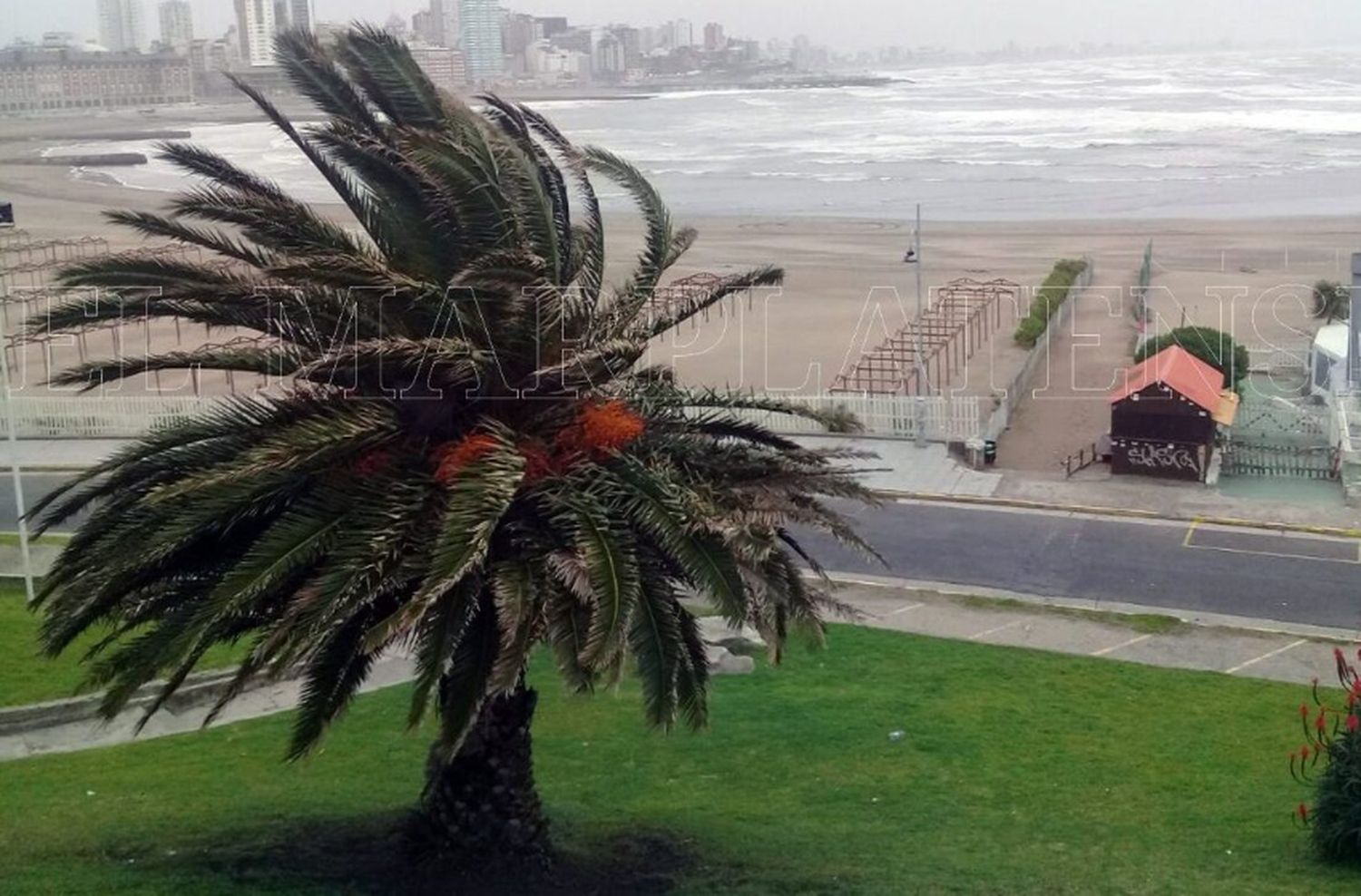 Video: el fuerte viento provocó destrozos en la ciudad y rompió los ventanales de un Shopping