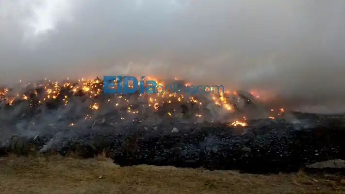 Un incendio de grandes dimensiones afecta al Ecoparque