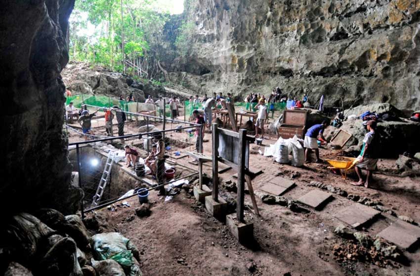 Descubrieron una nueva especie de homínido de fines del Pleistoceno