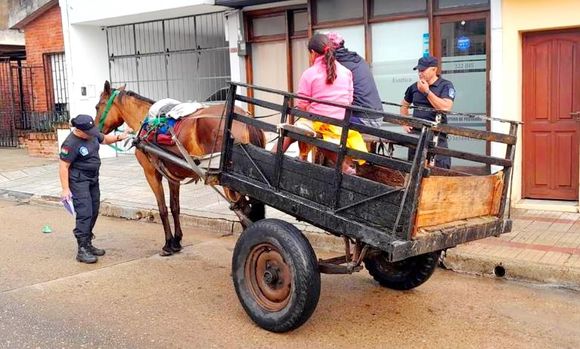 Avanzan los controles para erradicar la tracción a sangre
