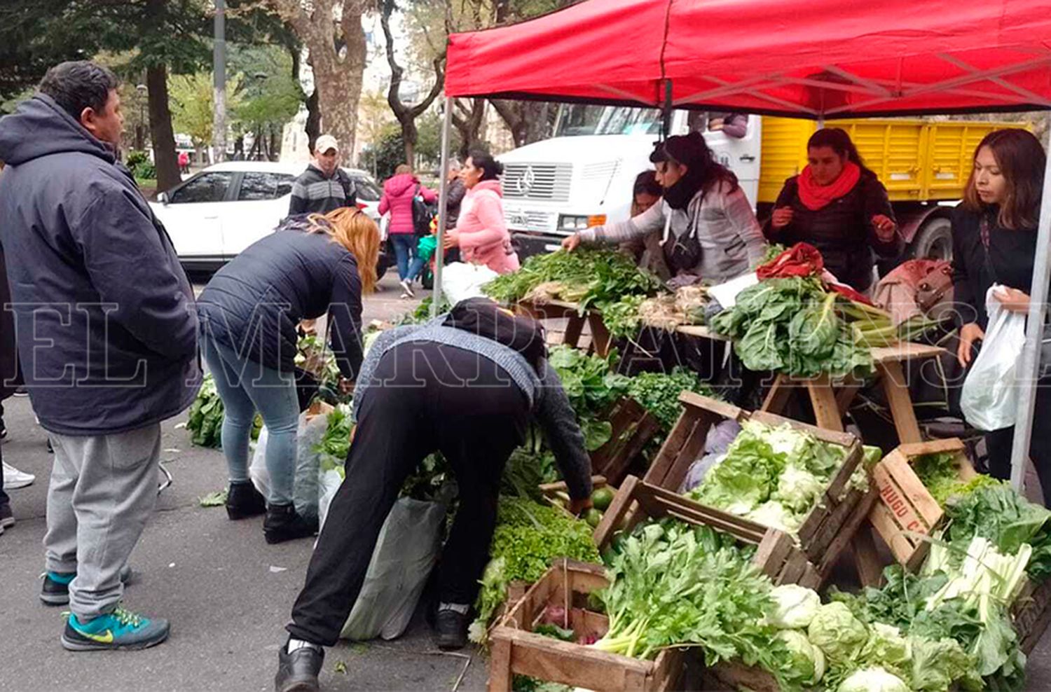 "Verdurazo" frente al Municipio en apoyo al proyecto Agroecológico de Chapadmalal