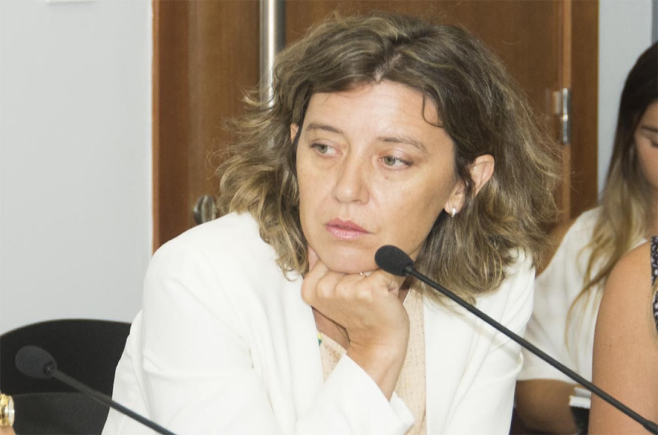 Diputados oficialistas repudiaron los dichos de Goyeneche