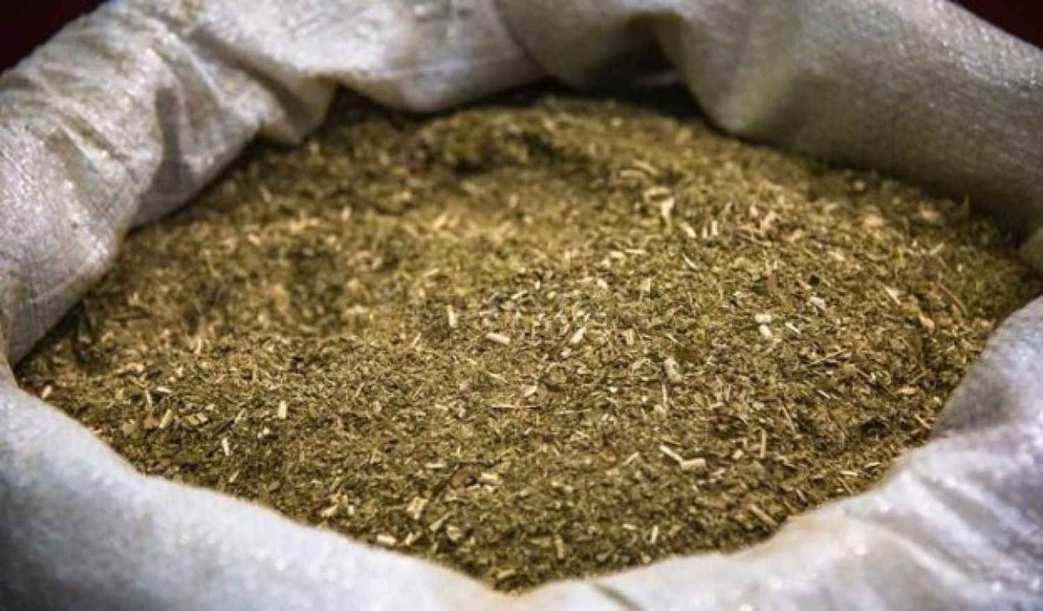 Establecen nuevas regulaciones para la producción de yerba mate