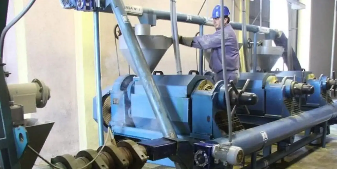 Las "extrusoras" son pequeñas industrias instaladas en pequeñas localidades del interior, que producen alimento para ganadería y aceite con destino al biodiésel.
