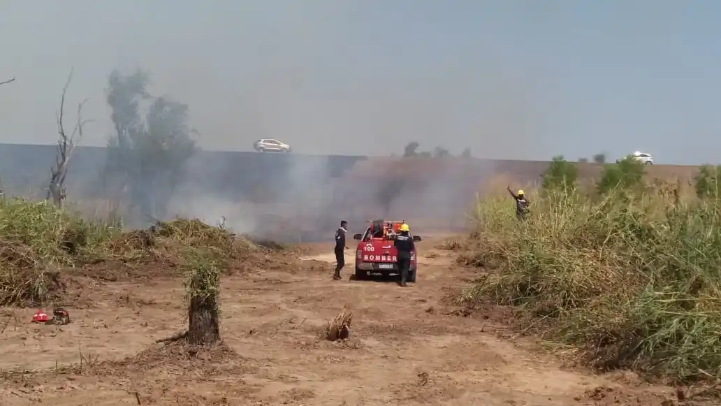 Incendios en el Delta: "La sequía y la  bajante del Paraná fueron un combo fatal"