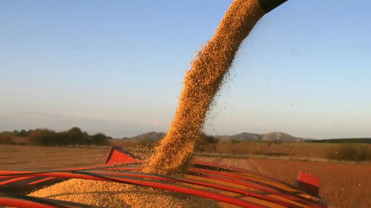 La Bolsa de Comercio de Rosario destacó las lluvias registradas en la región núcleo